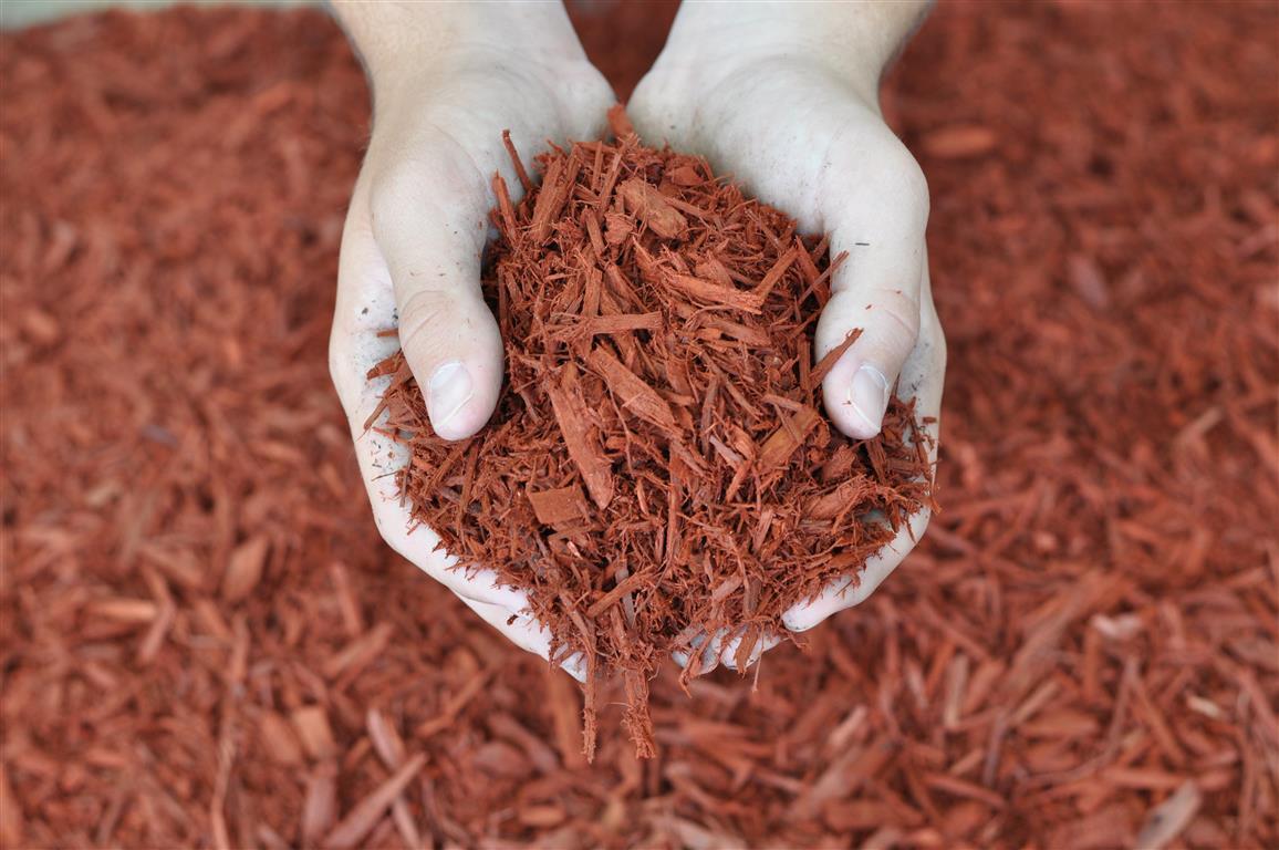 MULCH -- Dyed Red – Green Roof Supply